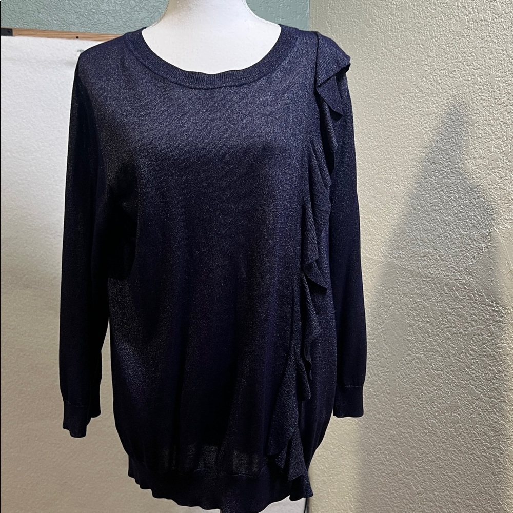 BANANA REPUBLIC 
Navy Knit Sweater